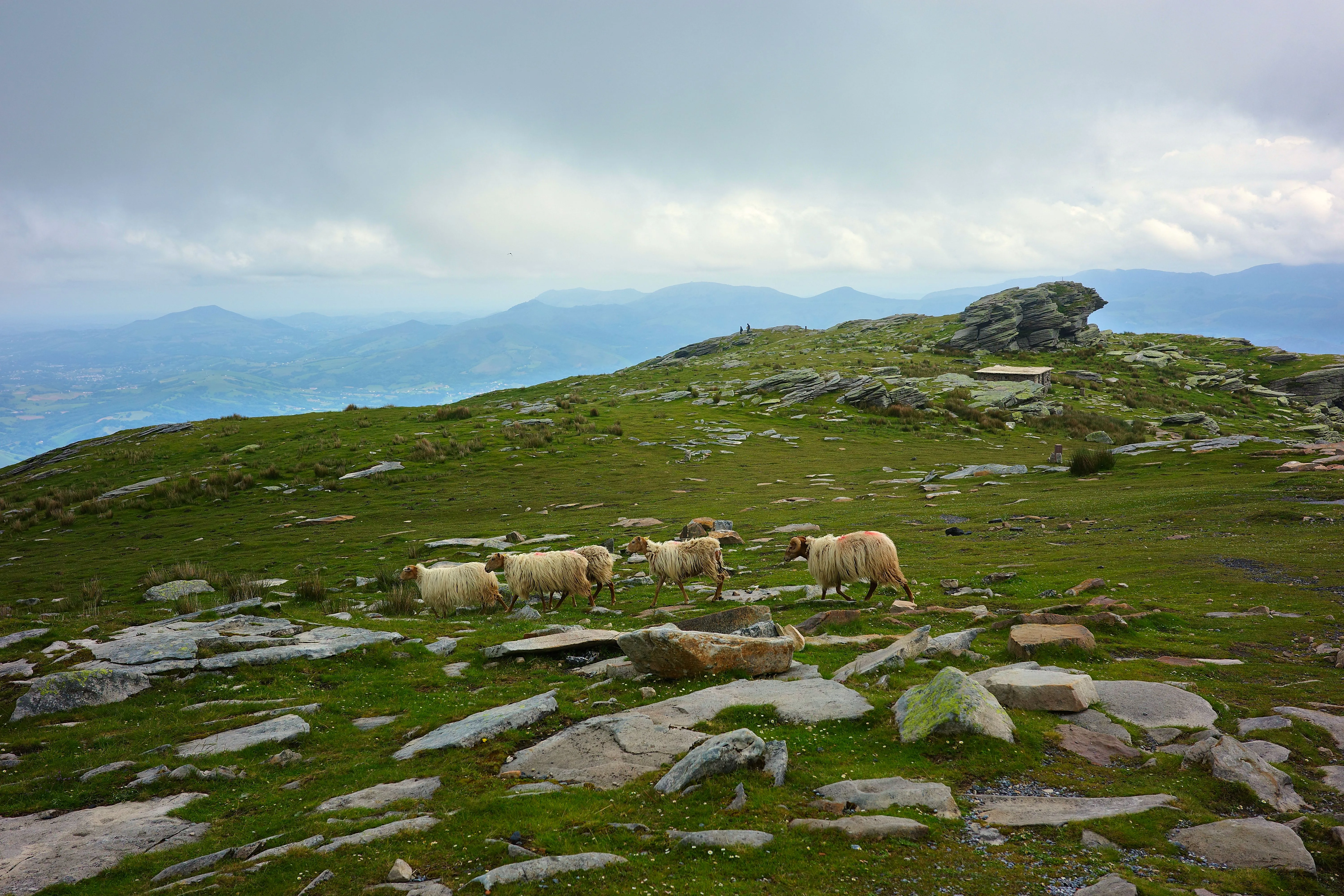 Descente de la Rhune