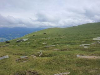 Fin, descente de la Rhune