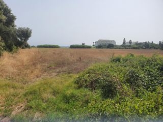 Macinaggio 