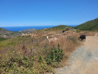Photo du voyage