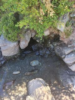 Photo du voyage