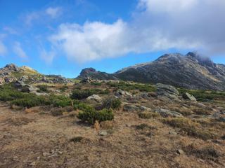 Vers le Monte Stello.