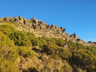 Bivouac