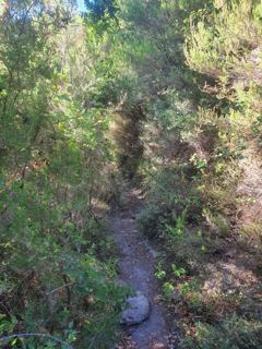 Vers le Cimone