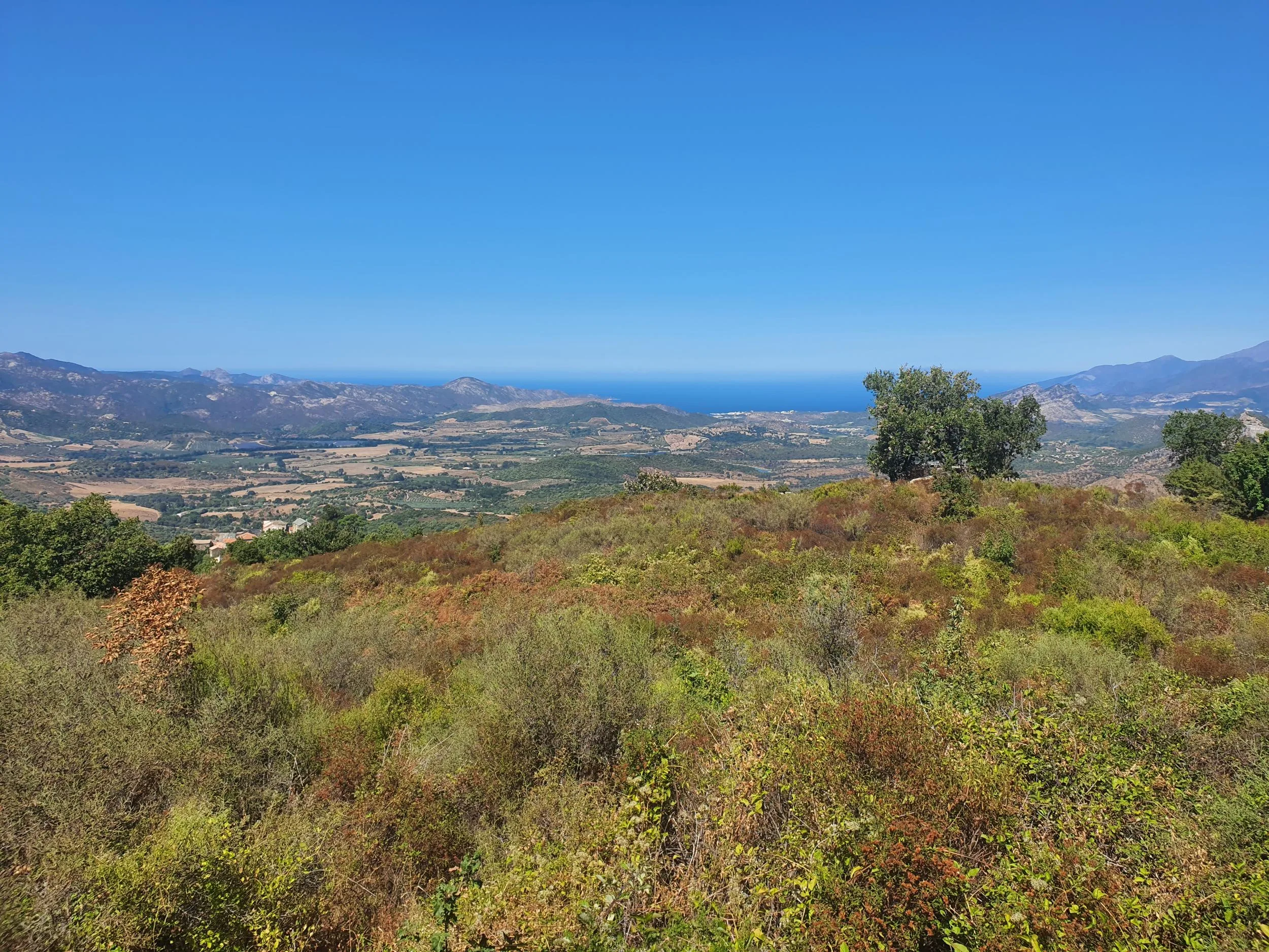 Vers Murato