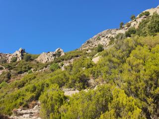 Photo du voyage