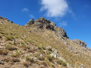 Monte Tolu