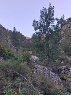 Montée dans les gorges
