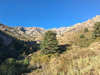 Cabane de chasseur