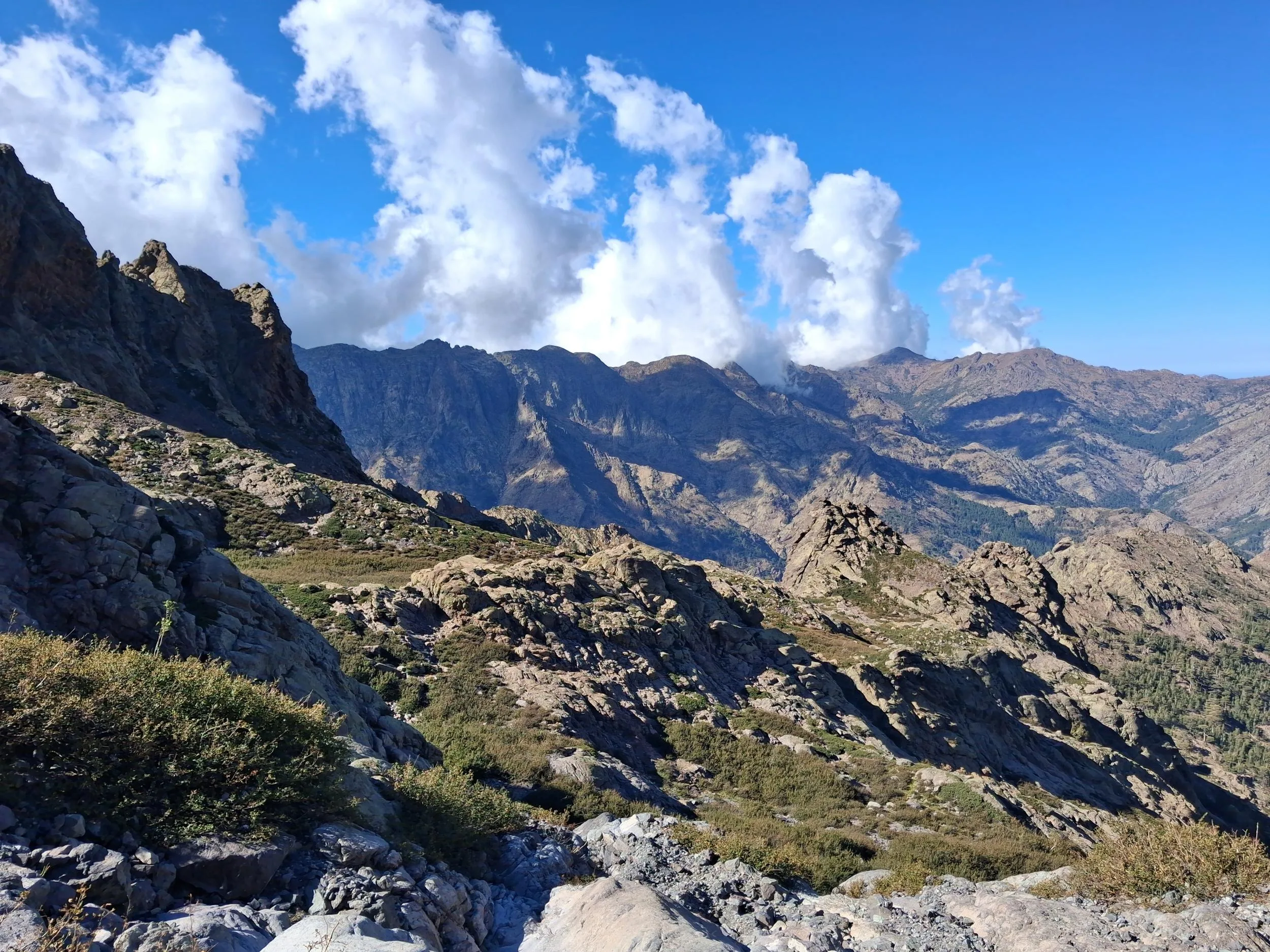 La torre Manica