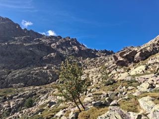 Capu di a Crucceta 