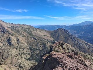 Ucellu