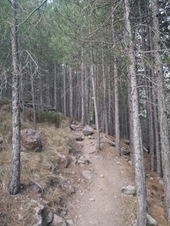 Retour à la Bergerie 