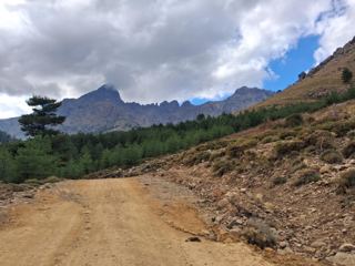 Vers le GR20