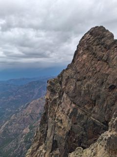 Retour au refuge 