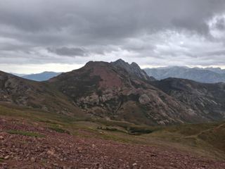 Retour au refuge 