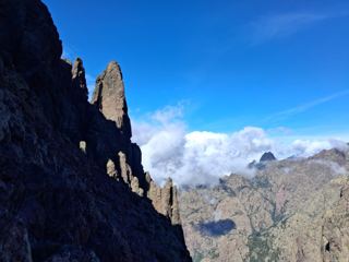 Retour au refuge
