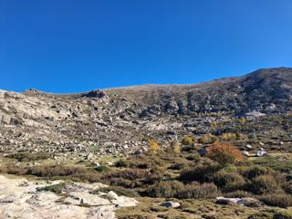 Chemin forestier 
