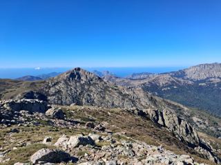 Punta Artica