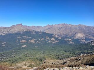 Punta Artica