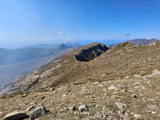 Punta Artica