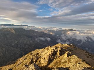 Punta Gallera
