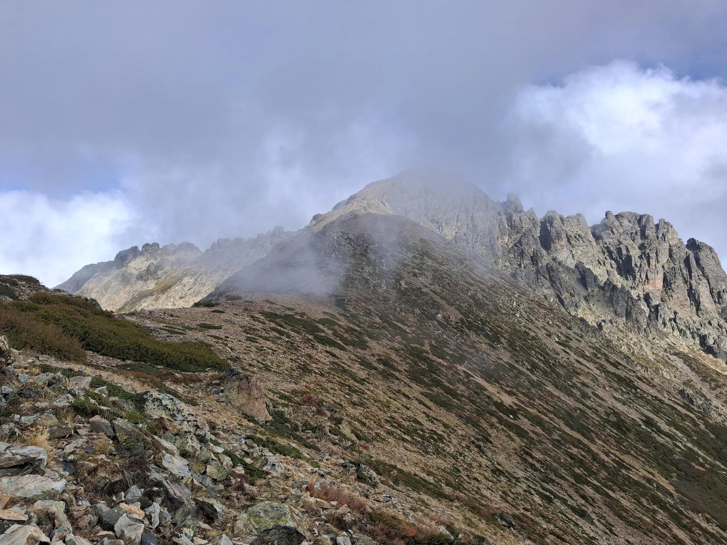 Monte Cardo