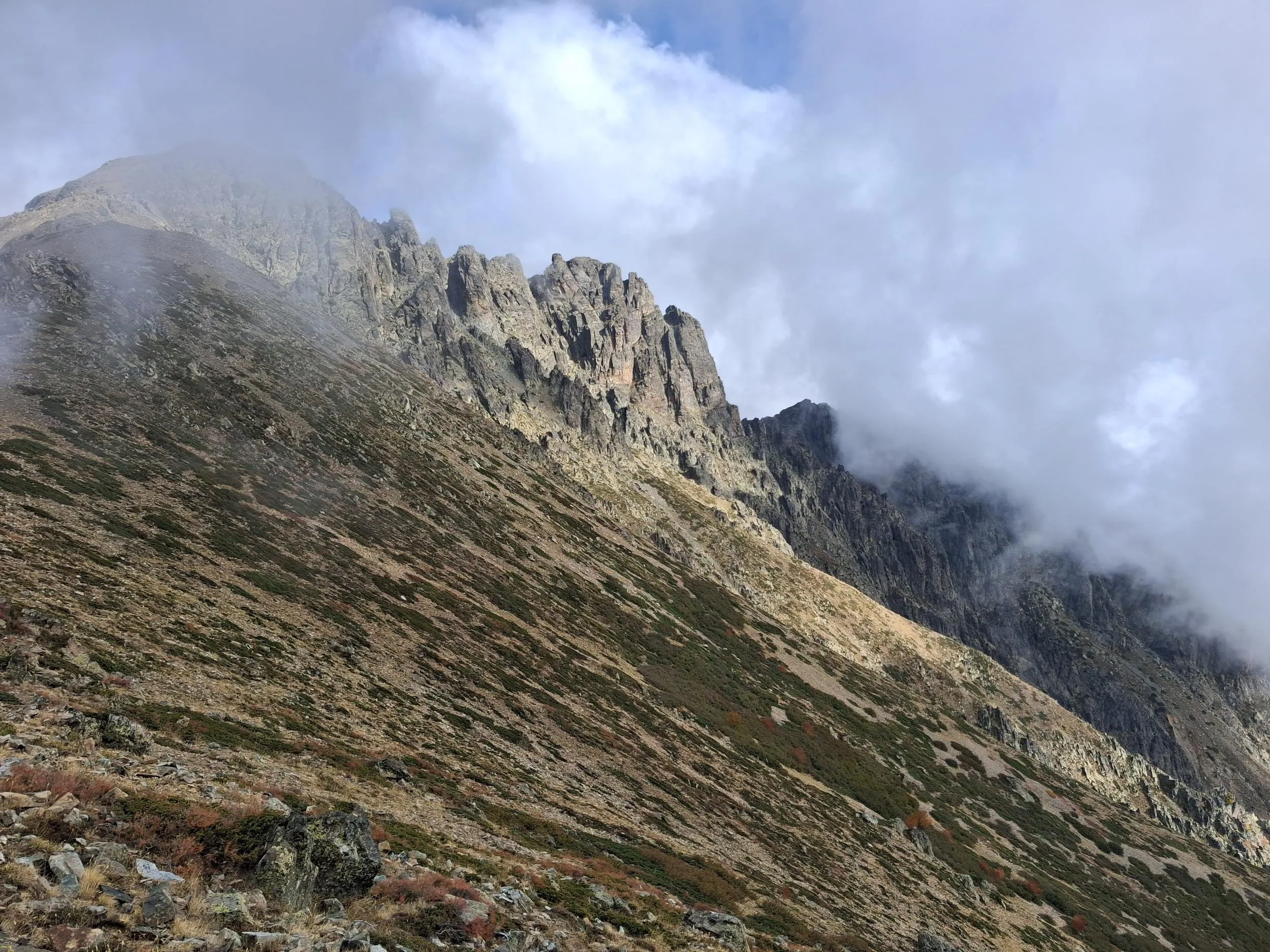 Monte Cardo