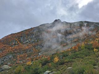 Descente vers les bergeries 
