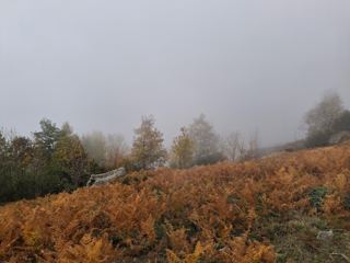 Descente vers les bergeries 