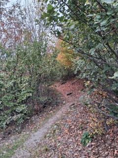 Descente vers les bergeries 