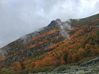 Punta di Capizzolu en automne dans la brume