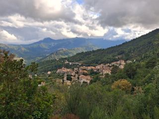 Venaco
