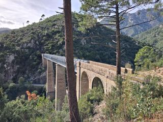 Pont ferroviaire de Vecchio 