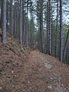 Vers le col de Tribali