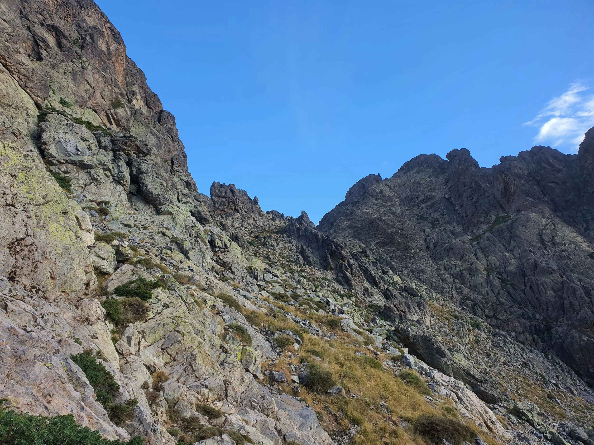 Approche vers la radiche